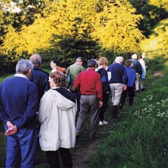 Redhall 1998