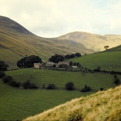 Sedbergh 1978