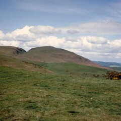 Wooler 1984
