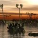 Paleosols as evidence of terrestrial climate change.