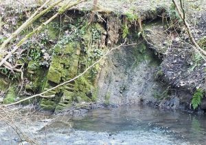 Ellen's Glen - Copyright: Howard Turner