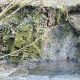 Ellen's Glen Featured Image