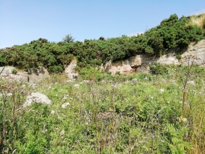 Crichton Castle Quarry Local Geodiversity Site in Midlothian