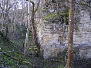 Currie Lee Quarry, Crichton Local Geodiversity Site in Midlothian